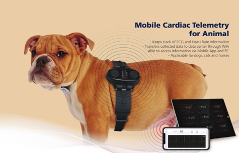 DIGIRAY_EN ARGOS - Vet Monitoring System