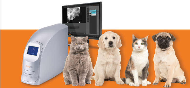 DIGIRAY_EN Fire CR Dental Vet Premium